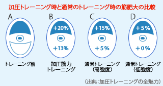 加圧トレーニング時と通常のトレーニング時の筋肥大の比較